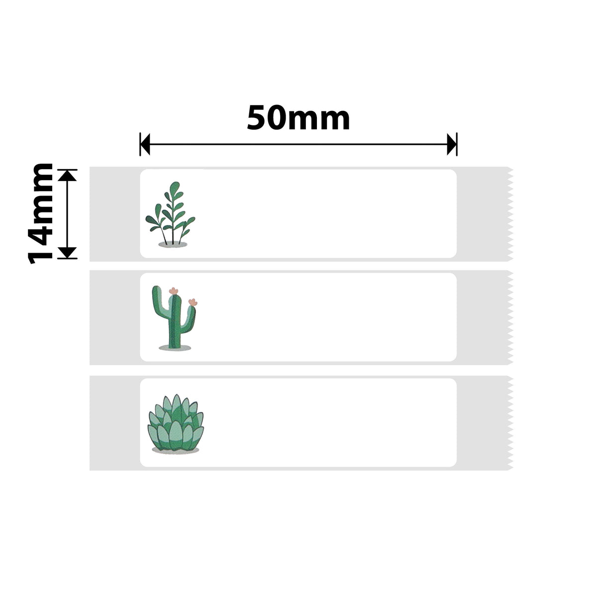 NIIMBOT - D Range - 14x50mm - Succulent A - 125 Labels