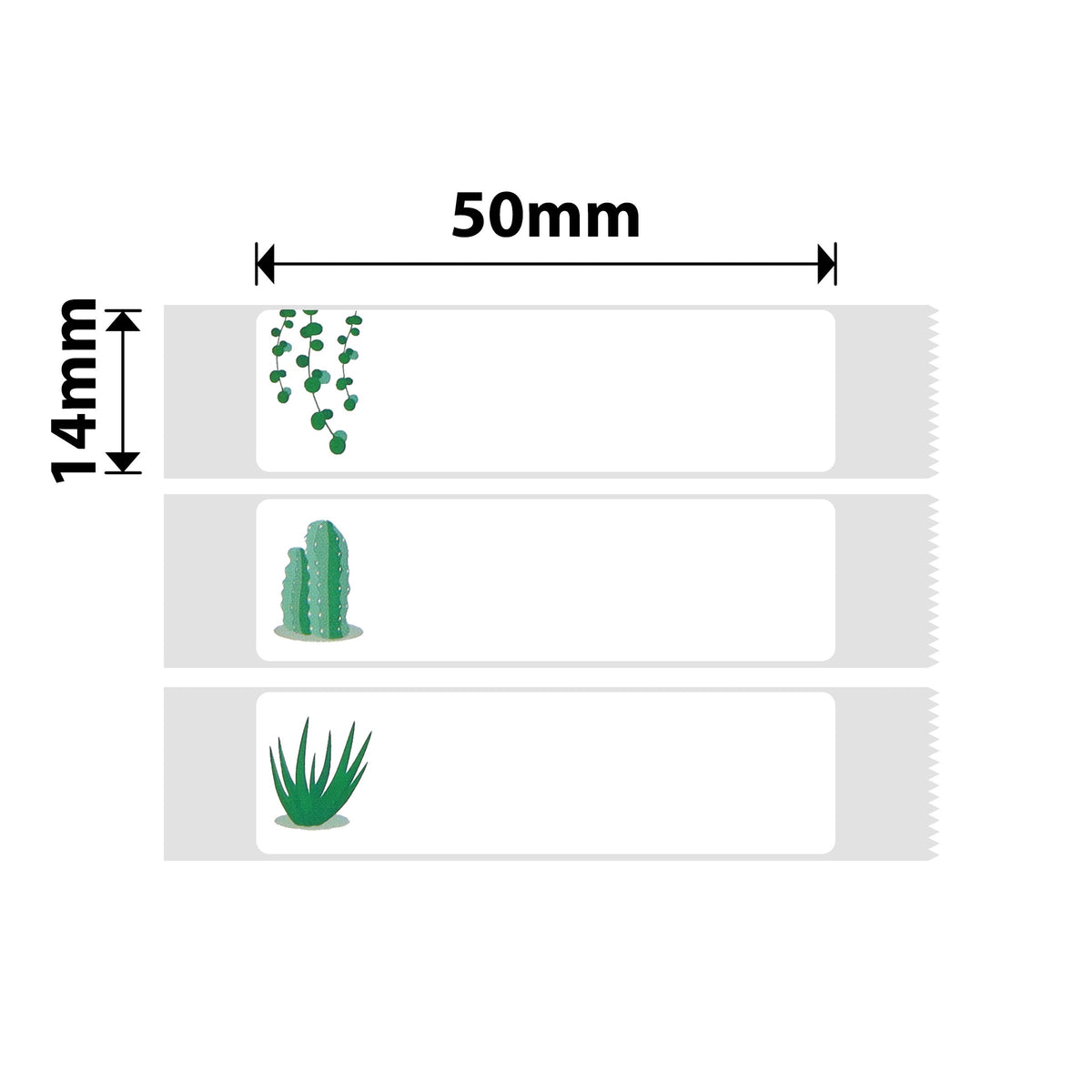 NIIMBOT - D Range - 14x50mm - Succulent B - 125 Labels