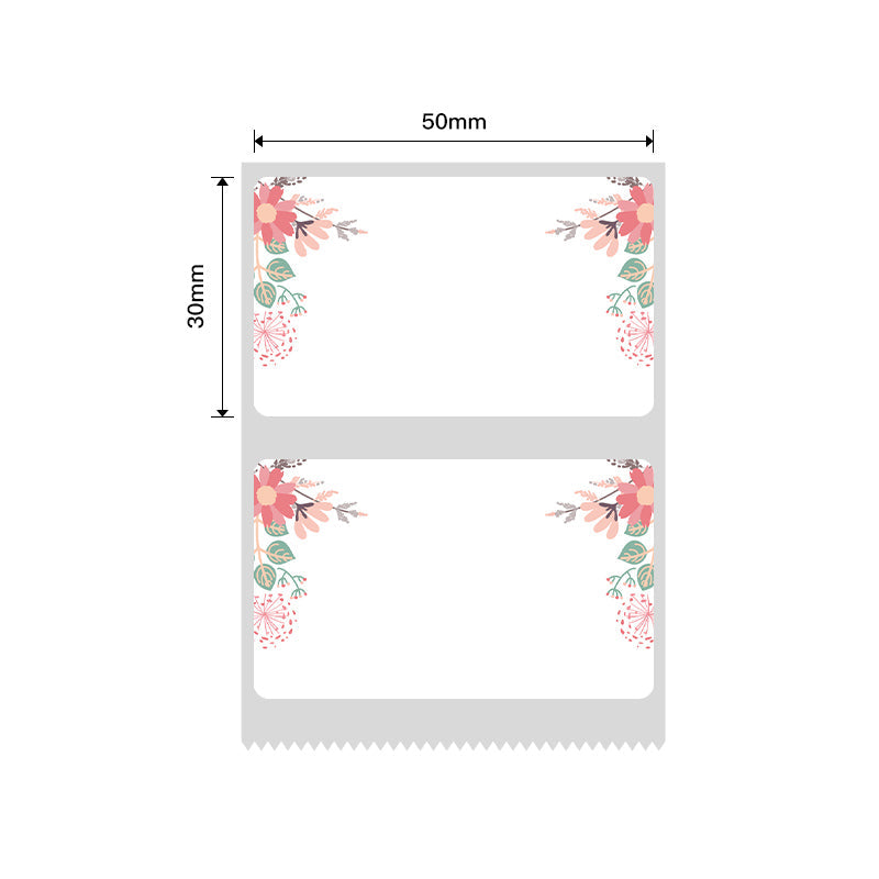 NB220 - NIIMBOT - B1 / B21 / B3S / B4 - 50X30MM - 230 SPRING LABELS