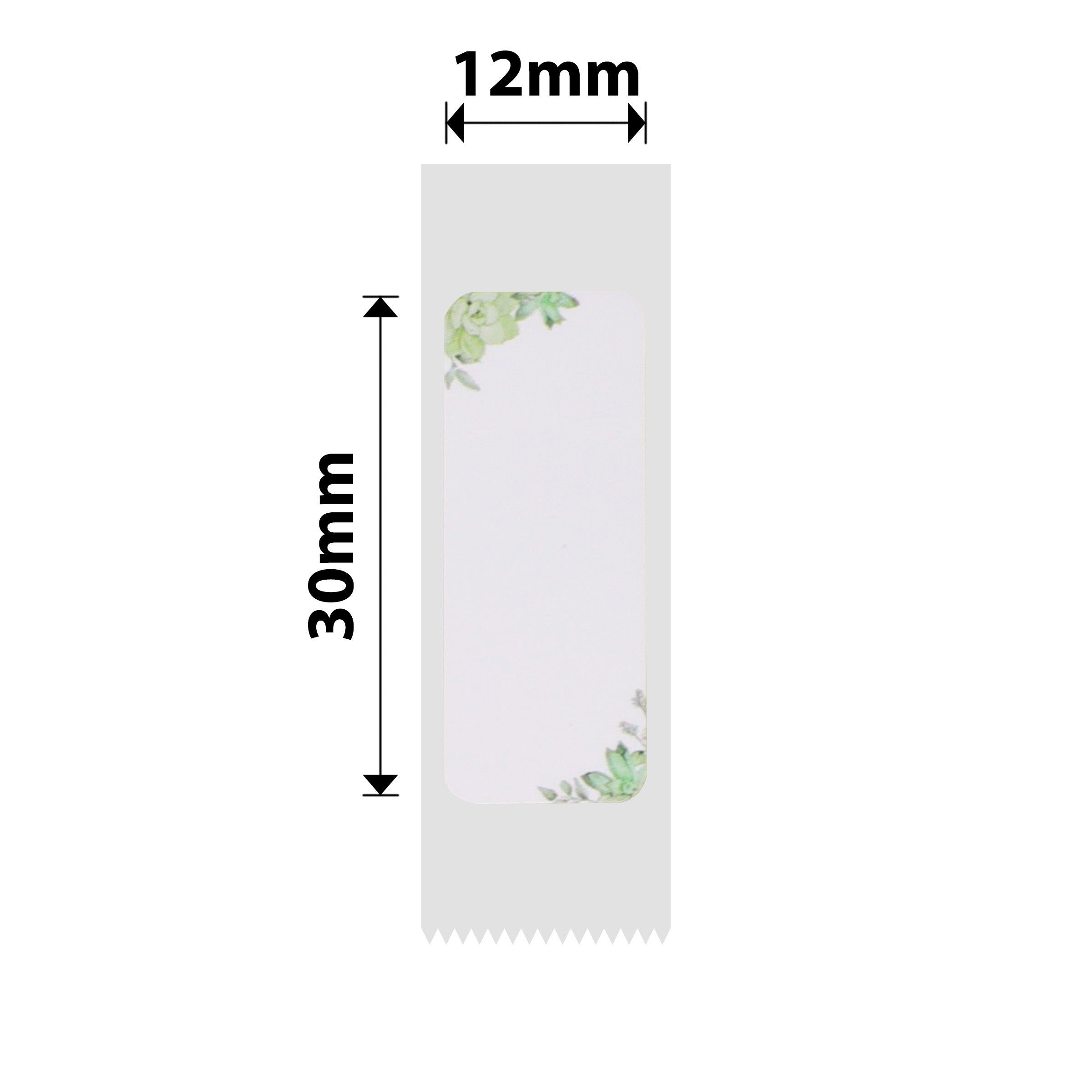NB272 - NIIMBOT - D11 / D101 / D110 / H1S - R12 x 30 mm - 210 étiquettes par rouleau - Motif feuilles vertes