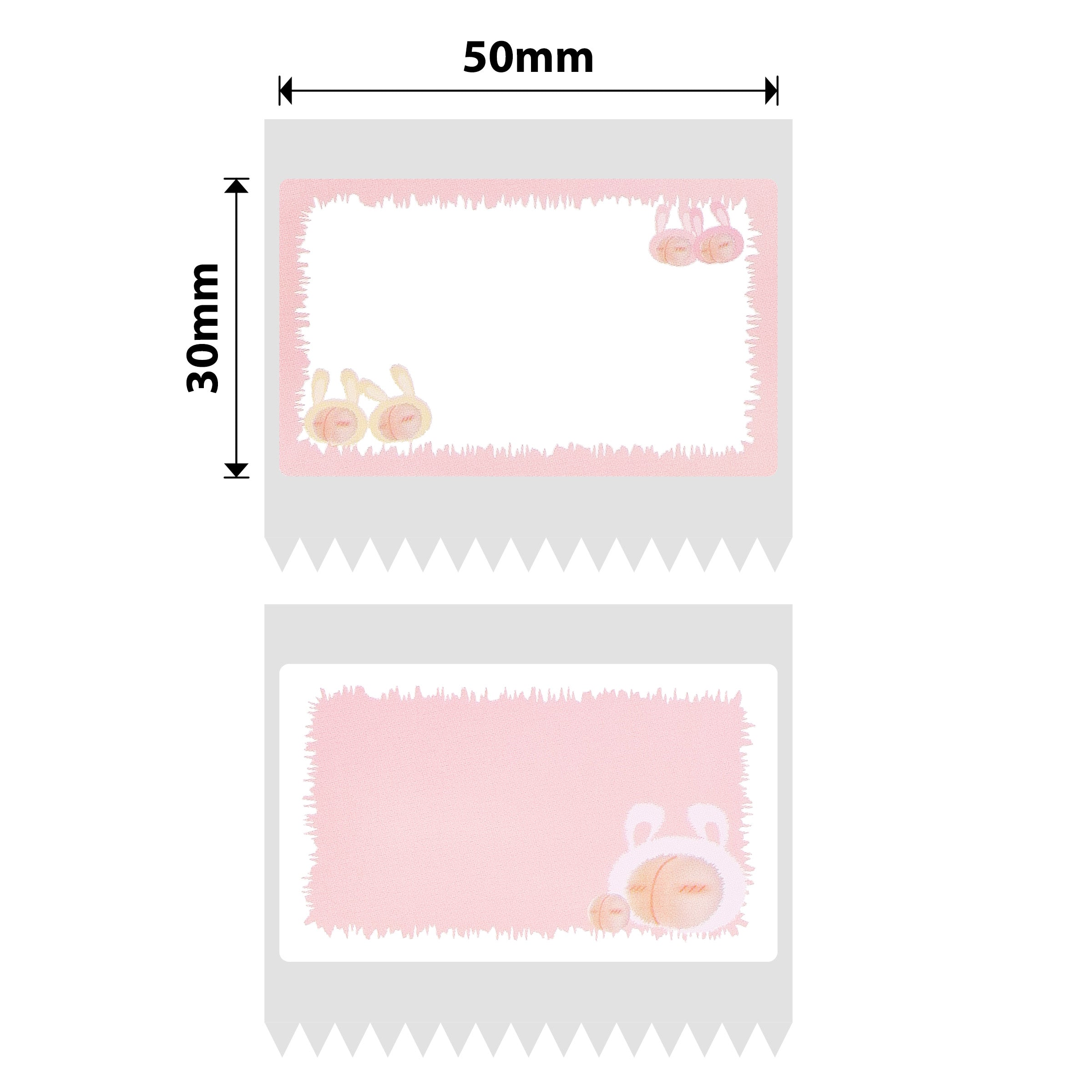 NB464 - NIIMBOT - B1 / B21 / B3S / B4 - Épaisseur 50 x 30 mm - 230 étiquettes par rouleau - Motif pêche