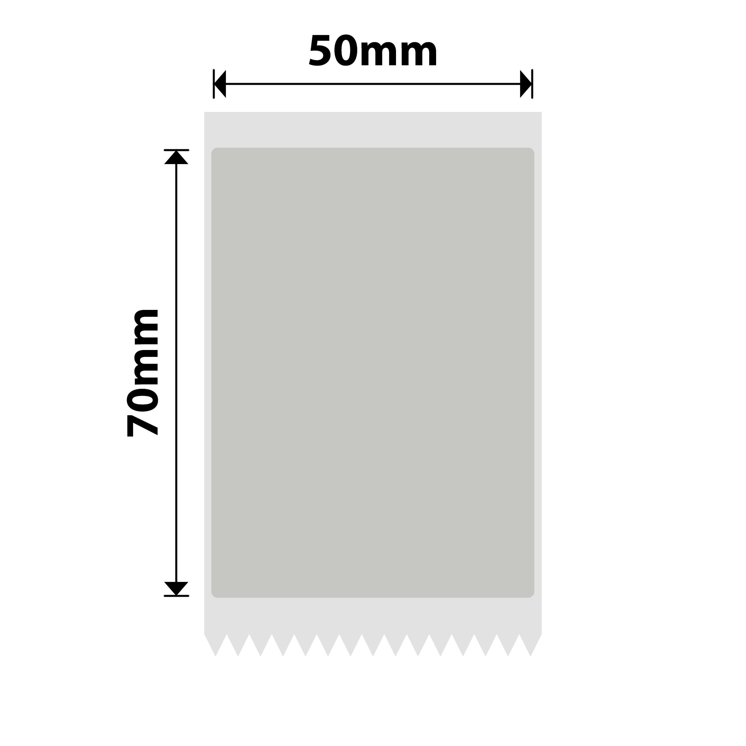 NB661 - NIIMBOT - B1 / B21 / B3S / B4 - T50X70 - 90 ETICHETTE PER ROTOLO - GRIGIO ARGENTO - SOLO TESTO BLU - RETTANGOLO