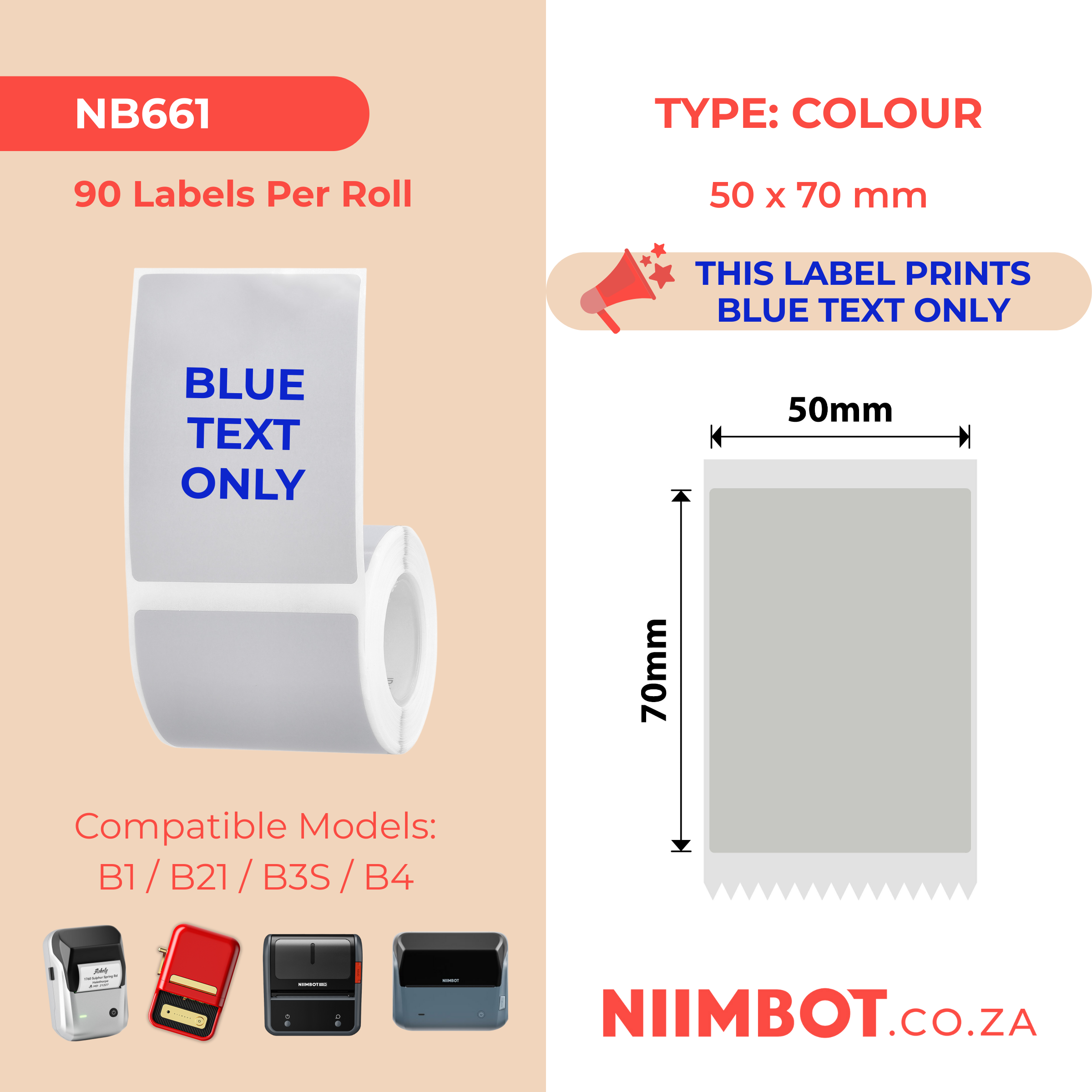 NB661 - NIIMBOT - B1 / B21 / B3S / B4 - T50X70 - 90 ETICHETTE PER ROTOLO - GRIGIO ARGENTO - SOLO TESTO BLU - RETTANGOLO