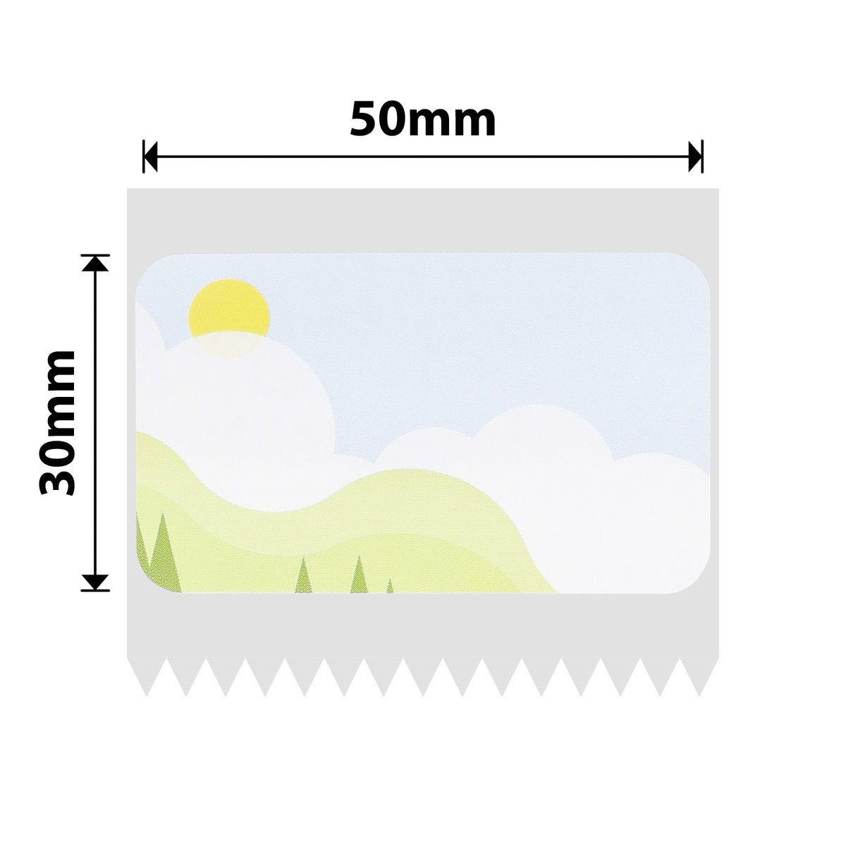 NIIMBOT - B Range - 50x30mm - Spring Scene - 230 Labels