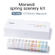 NB137 - NIIMBOT - D11 / D101 / D110 / H1S - 12X30MM - 180 SPRING EDITION LABELS - 12 X ROLLS