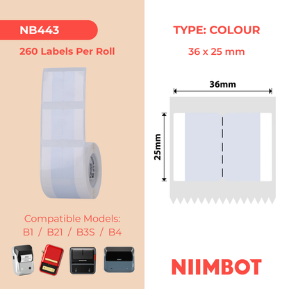NB443 - NIIMBOT - B1 / B21 / B3S / B4 - T36X25MM - 260 ETICHETTE PER ROTOLO - DESIGN ADESIVO INDICE GRIGIO