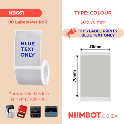 NB661 - NIIMBOT - B1 / B21 / B3S / B4 - T50X70 - 90 ETICHETTE PER ROTOLO - GRIGIO ARGENTO - SOLO TESTO BLU - RETTANGOLO