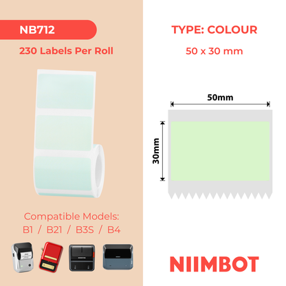 NIIMBOT - B Range - 50x30mm - Mint Green - 230 Labels