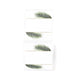 NB734 - NIIMBOT - B1 / B21 / B3S / B4 - 51X51MM - 140 LEAF ROUND LABELS