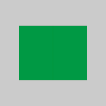 NB851 - NIIMBOT - M2_H / M3 - 25X40MM/2L - 370 GREEN THERMAL TRANSFER LABELS