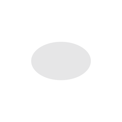 NIIMBOT - M2 / M3 - 30X20MM - 345 SILVER LASER HOLOGRAPHIC OVAL LABELS