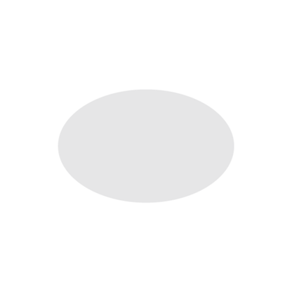 NIIMBOT - M2 / M3 - 30X20MM - 345 SILVER OVAL LASER LABELS