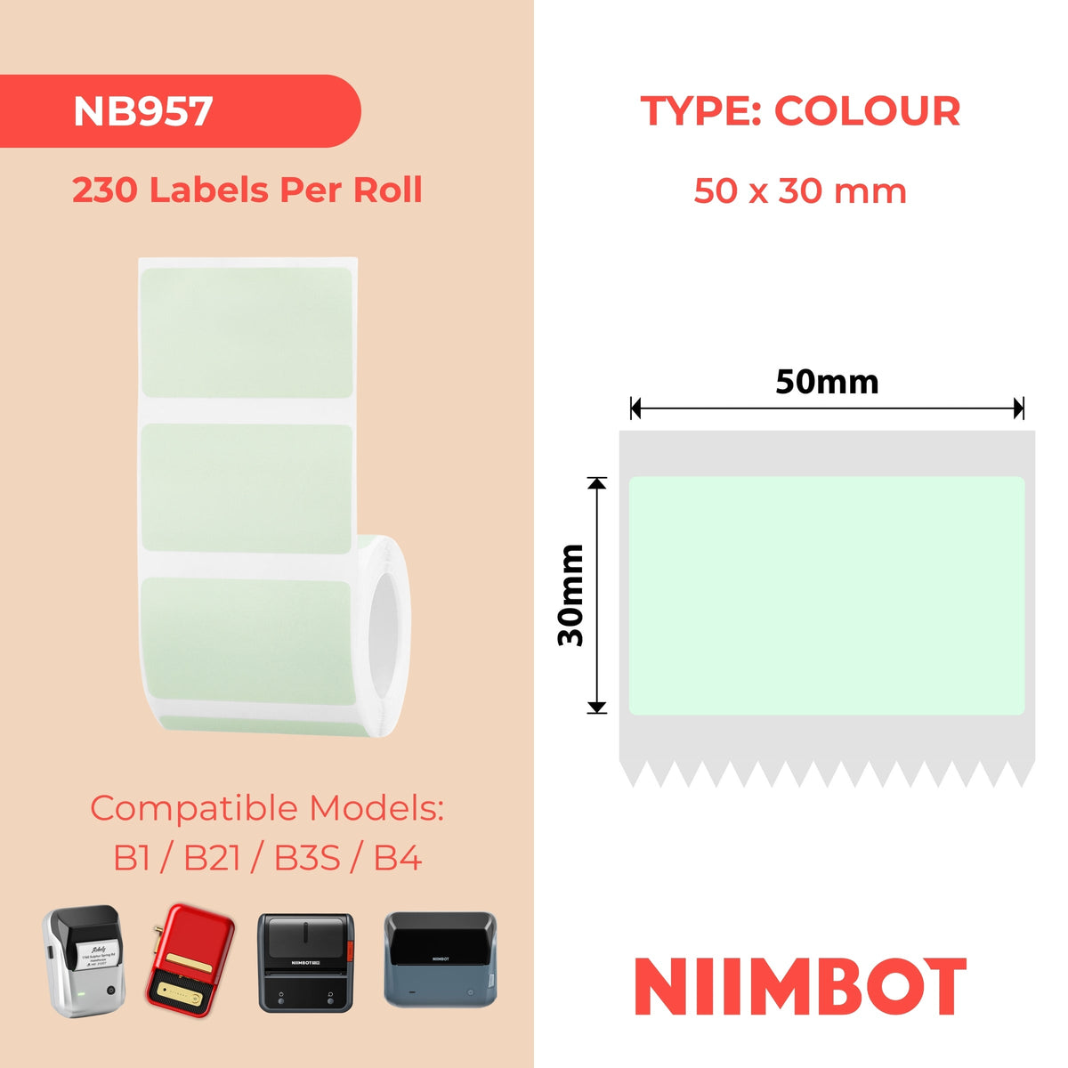 NIIMBOT - B Range - 50x30mm - Light Green - 230 Labels