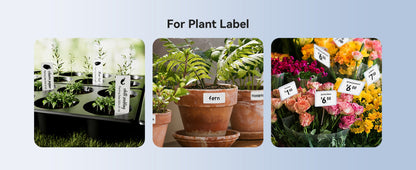 NB589 - NIIMBOT - MODEL: M2_H - THERMAL TRANSFER BLUETOOTH LABEL PRINTER - 300DPI - INCLUDING BLACK RIBBON CARTRIDGE & 50*30MM LABEL ROLL